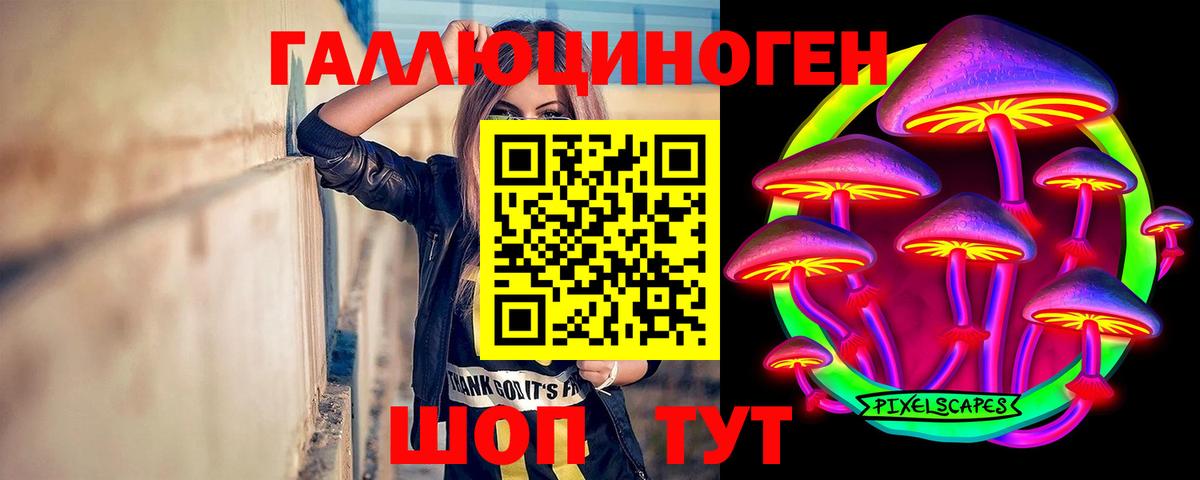 Усть-Джегута  Галлюциногенные грибы прущие грибы  Вход с VPN  Псилоцибиновые грибы мухоморы 